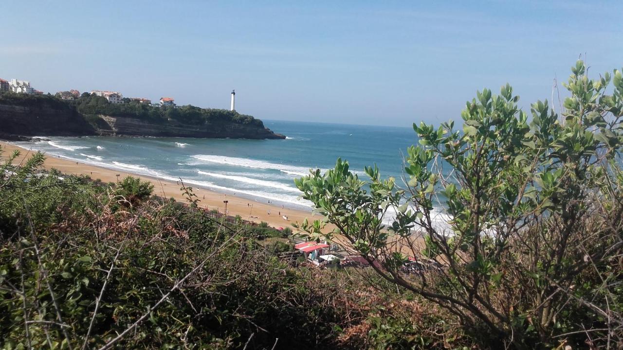 Anglet Face A L'Ocean Daire Dış mekan fotoğraf